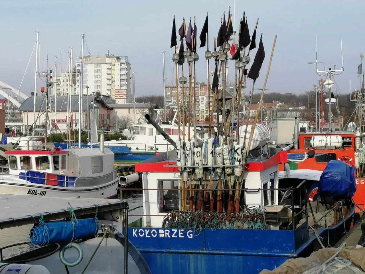 Gdzie kupić świeże ryby w Kołobrzegu? Sprawdź najlepsze miejsca
