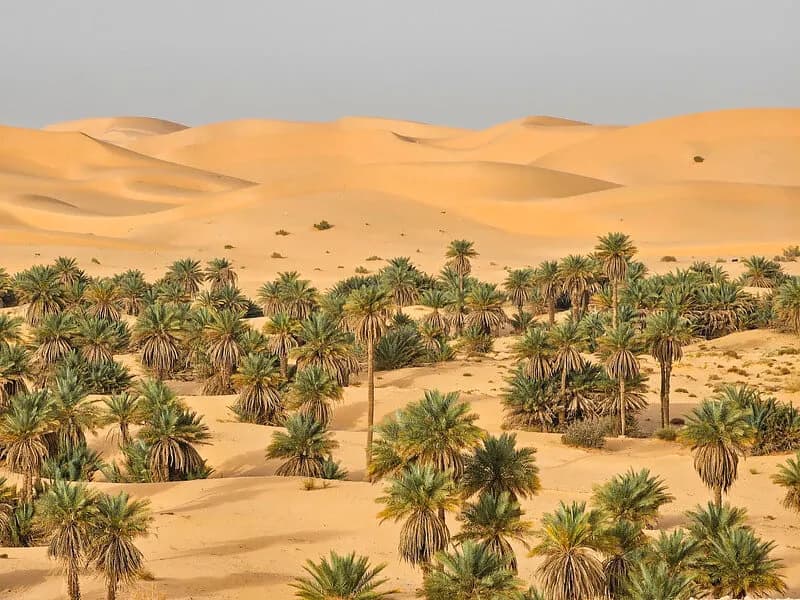 Najlepsze atrakcje w Algierii, które musisz zobaczyć podczas podróży