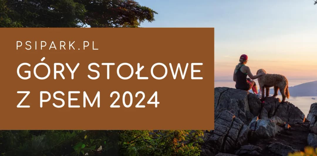 Góry Stołowe czy można z psem? Sprawdź, gdzie możesz wędrować z psem